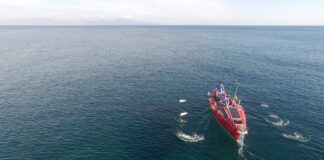 Cuatro deportistas españoles parten este lunes desde La Gomera hacia Antigua, en el Caribe