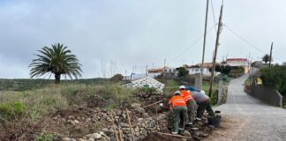 El Cabildo ejecuta una treintena de actuaciones para la rehabilitación de bancales en la isla