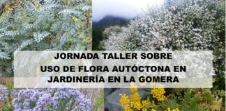 Jornada-Taller de uso de flora autóctona en jardinería en La Gomera