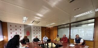 Cabildo de La Gomera y asociaciones de empresarios abordan nuevas medidas para la dinamización económica