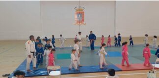 Celebrado el torneo de judo prebenjamin de las Fiestas Patronales de San Sebastián de La Gomera
