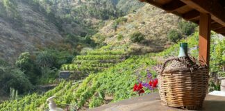 El Cabildo de La Gomera felicita a la Bodega Montoro por la medalla de oro obtenida en VinEspaña 2023