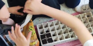 El Cabildo de La Gomera promueve talleres de sensibilización ambiental para escolares