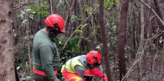 Más de un centenar de alumnas y alumnos realizaron sus prácticas formativas en Gesplan en 2022