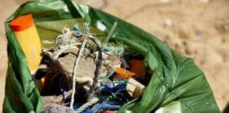 Canarias celebra el ‘I Foro Internacional sobre Basuras Marinas y Economía Circular en ambientes insulares’