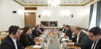 Chinea analiza el impacto de la invasión de Ucrania en Georgia junto a una delegación de senadores