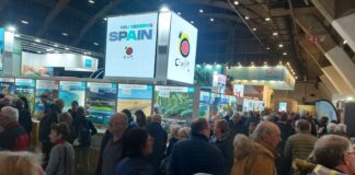Canarias acude al Salon des Vacances para consolidar el turismo belga, con un gasto por encima de la media