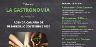 El Cabildo colabora con la Agenda Canaria de Desarrollo Sostenible 2030