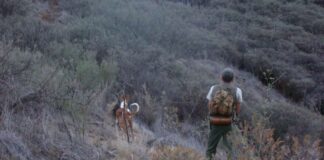 El Cabildo de La Gomera da luz verde al calendario de caza con escopeta a partir del 6 de octubre