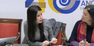 Mendoza: “La Diputación del Común ayuda a que la Administración pública mejore su respuesta a la ciudadanía”