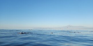 Cielos poco nubosos y pocos cambios en temperaturas este miércoles en Canarias