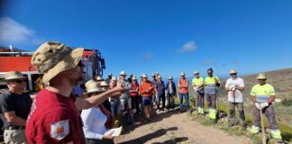 La reforestación como respuesta al cambio climático: iniciativa en La Gomera con la participación de turistas y empresas sostenibles