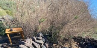 El PP de La Gomera exige soluciones urgentes para Valle Gran Rey