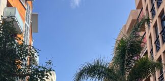 Comercio de Canarias y Cámara activan la venta de los 30.000 ‘bonos bonitos’ para consumir en La Palma