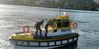 El aviso de unos vecinos salva una tortuga enredada en restos de plástico en San Sebastián de La Gomera