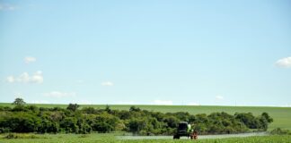 Minitractor de segunda mano