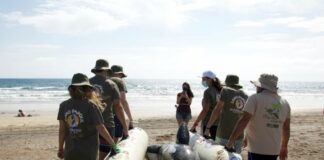 Aprender para proteger: la educación ambiental como solución para salvar a nuestro planeta