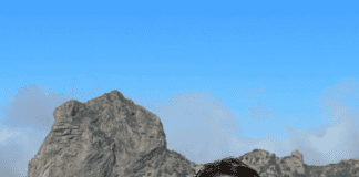 Sánchez Morales (IxLG): “Priorizaremos políticas de ocio en Vallehermoso”