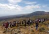 Fiesta en honor a San Isidro Labrador en Alajeró