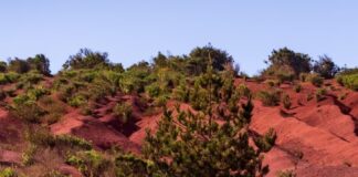 La Gomera protagoniza un reportaje en el principal portal de noticias de Letonia para su promoción como destino