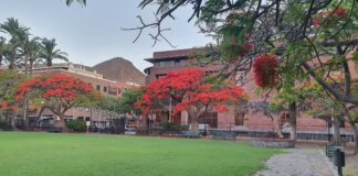 El fenómeno Curbelo: El Cabildo de La Gomera ha contado con cuatro presidentes desde 1979