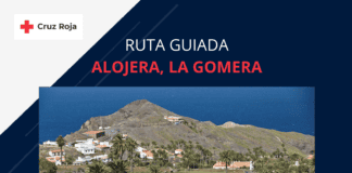 Cruz Roja en La Gomera organiza una ruta guiada en Alojera para dar a conocer la cultura de la palmera
