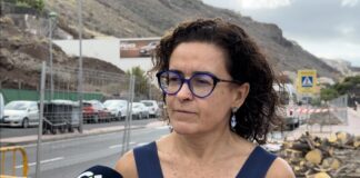 El Ayuntamiento de San Sebastián plantará especies nativas en los jardines de la Avenida José Aguiar