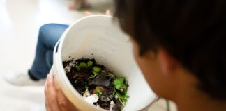 La Universidad de Verano de La Gomera inicia su itinerario este miércoles en Agulo