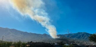 Dan por estabilizado el incendio de Arafo, que ha afectado a menos hectáreas de las previstas