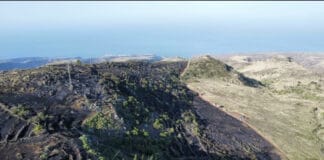 Extinguido el incendio declarado en La Dehesa, término municipal de Vallehermoso