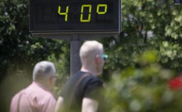Temperaturas de hasta 40 grados este martes en Canarias