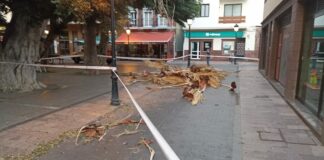 Rachas de vientos superiores a 80km/h y continuará el calor en Canarias este viernes