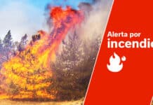 Llamamiento del Cabildo a la responsabilidad y el cumplimiento de las medidas ante la alerta por incendios