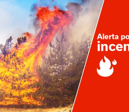 Llamamiento del Cabildo a la responsabilidad y el cumplimiento de las medidas ante la alerta por incendios