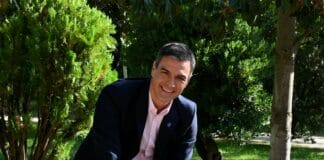 La sociedad civil recoge firmas para pedir a Pedro Sánchez que resista