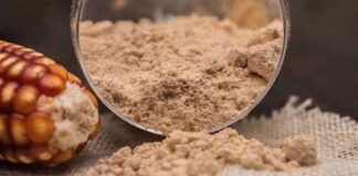 El Cabildo felicita a los productores gomeros de gofio por los galardones logrados en Agrocanarias