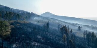 Alfonso Escalero (I Love The World), tras grabar la cumbre quemada de Tenerife: «Debería crearse un servicio público de drones para los afectados por catástrofes»