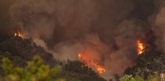 El incendio de Tenerife sigue “fuera de control”: ha arrasado ya 1.800 hectáreas con un perímetro de 22 kilómetros