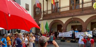 ‘Salvar los Árboles de La Gomera’ plataforma que pretende parar la tala de flamboyanes en San Sebastián