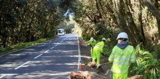 El Cabildo de La Gomera refuerza el operativo de carreteras durante este mes de agosto