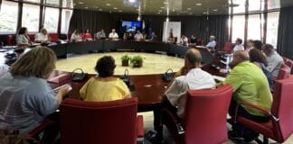 Empresarios aúnan criterios con el Cabildo de La Gomera para exigir medidas de compensación a Endesa