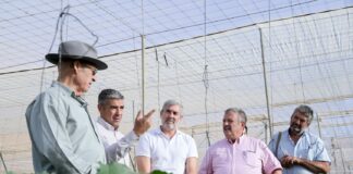 El Gobierno de Canarias apuesta por potenciar la producción local para reducir la dependencia del exterior