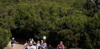 La Gomera se promocionó en una veintena de ferias turísticas durante el primer semestre de 2023