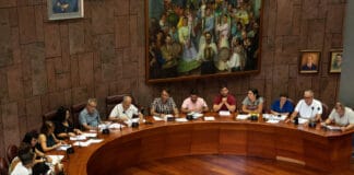 El pleno del Cabildo exige a Endesa que asuma las pérdidas ocasionadas a particulares y empresas en La Gomera