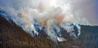Emergencias lanza una campaña de concienciación ciudadana para extremar la vigilancia en el monte
