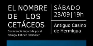 Charla sobre los cetáceos este próximo sábado en Hermigua