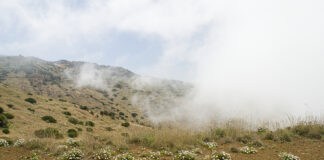 El Cabildo adjudica el suministro de captadores de niebla para el proyecto de adaptación climática