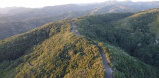 El Cabildo aprueba la inversión de 10 millones de euros para adecuar la vía entre Juego de Bolas y Laguna Grande