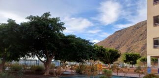 El Ayuntamiento de San Sebastián realiza labores de rehabilitación en los jardines de la Torre del Conde y del CEIP Ruiz de Padrón