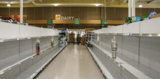 Aceite de oliva, ¿especulación o crisis?